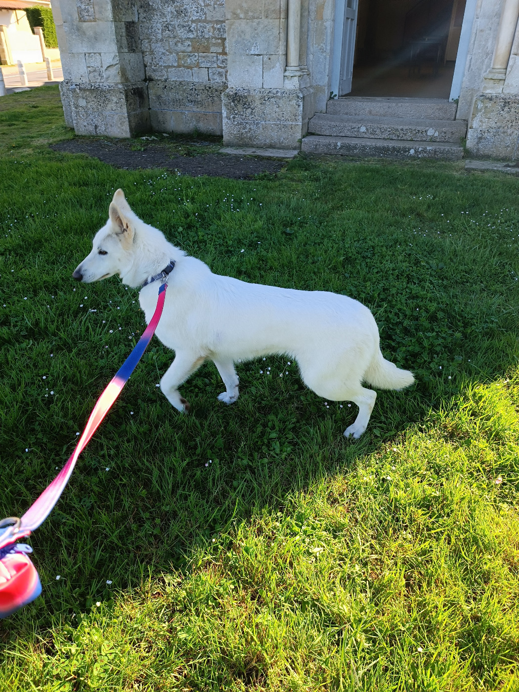 Venus Legends of Marwarita